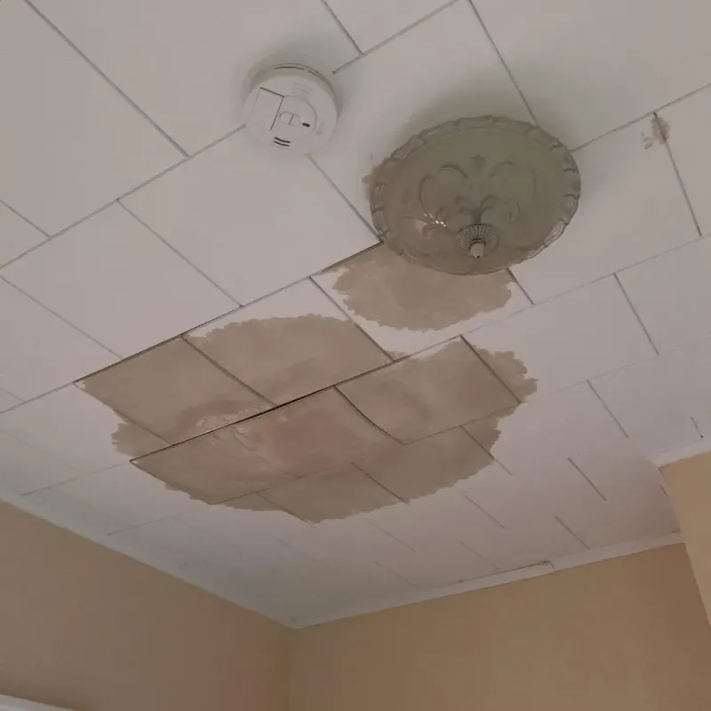 Ceiling Water Damage Repair in Wrightstown, WI