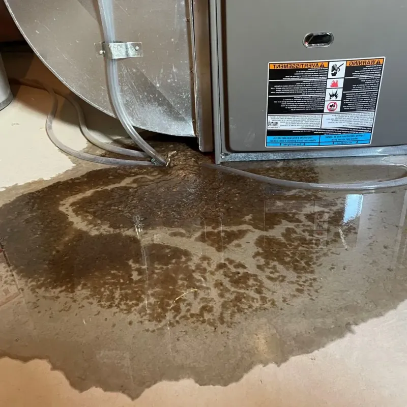 Pipe Burst and Leak Restoration in Wrightstown, WI