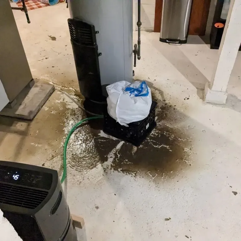 Sewage Backup Cleanup Service in Wrightstown, WI